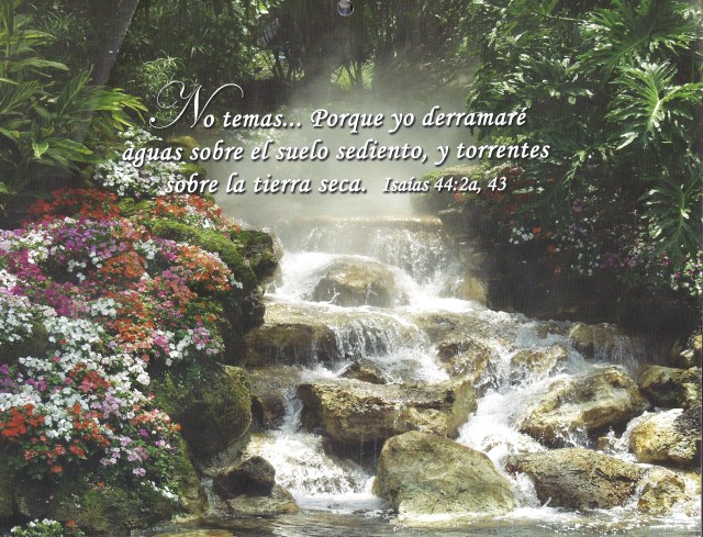 portada enero 20110001