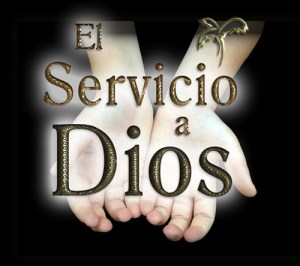 art.servir con exc