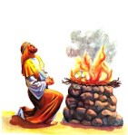 sabias.235.sacrificio