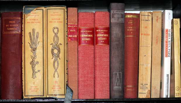 art.5libros s