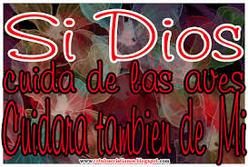 reflex.Dios cuida de mi