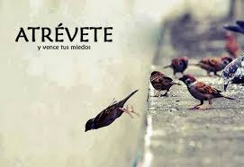 ref.hayquetomaren propios
