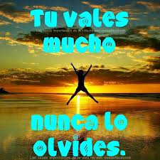 ref.tuvales muhc