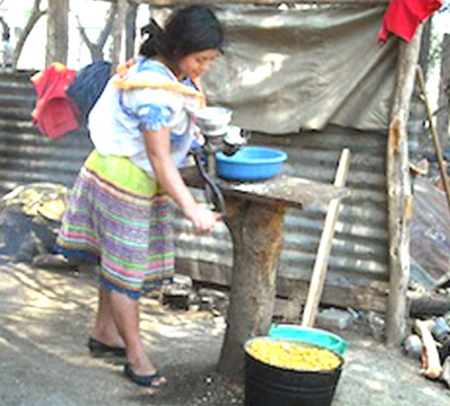 int rel.las margaritas