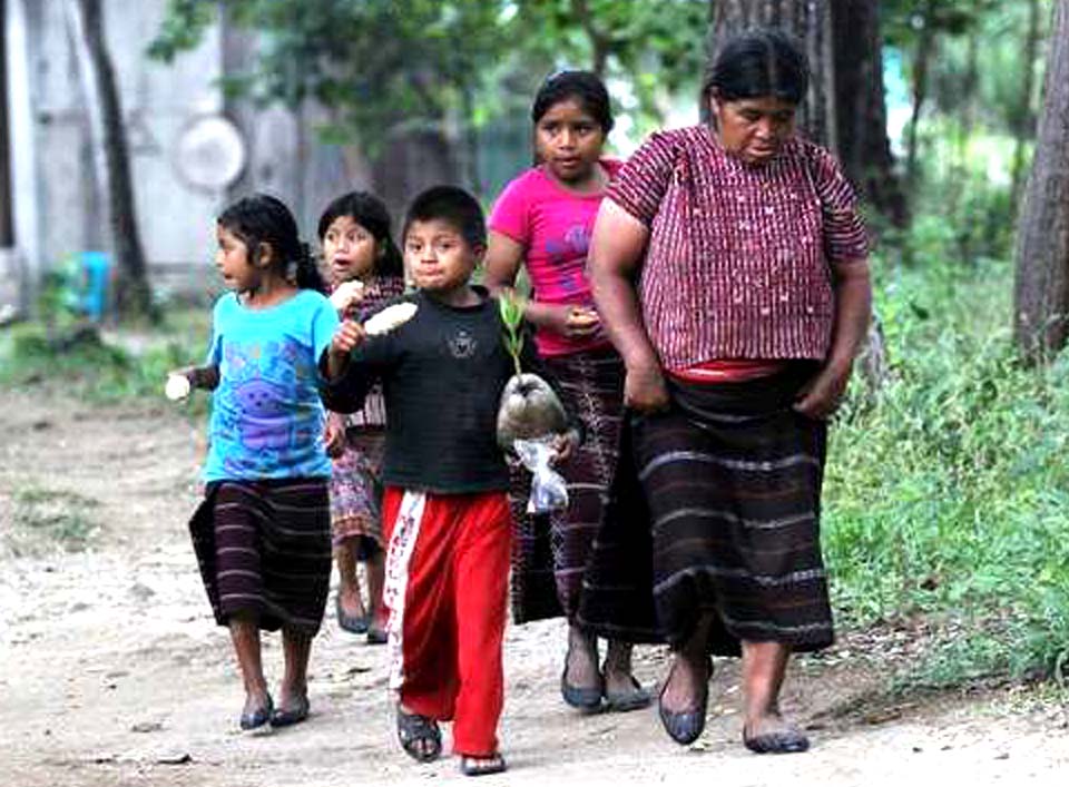int rel.chiapas