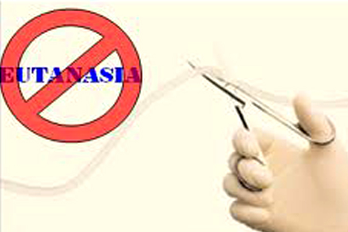 art.la eutanasia