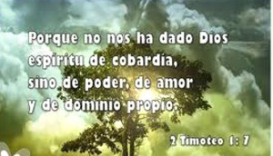 elhogxno.dominioprop