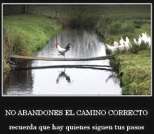 refl.caminocorrec