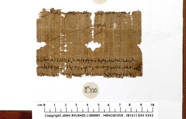 not int.univ manchester papiro