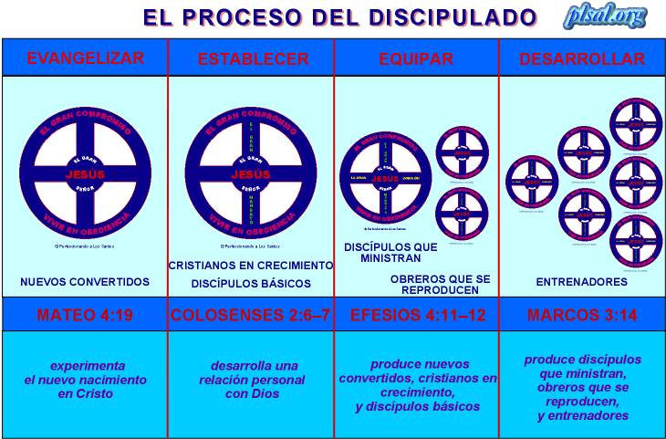 not int.PROCESO DEL DISCIP