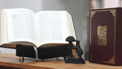 not int.sello reforma