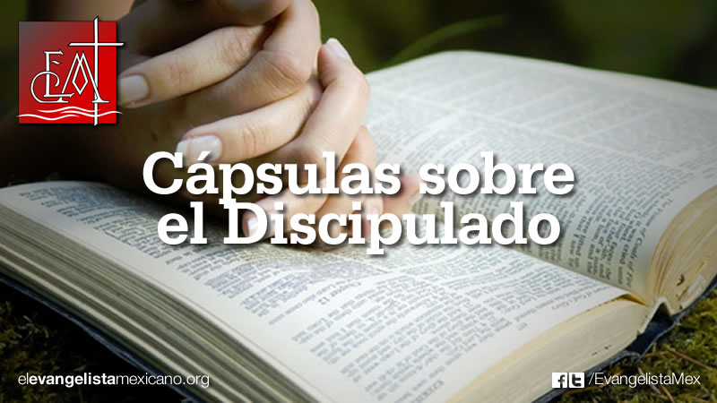 discipulado