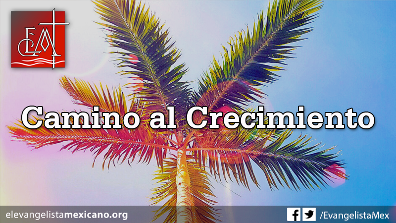 camino-crecimiento