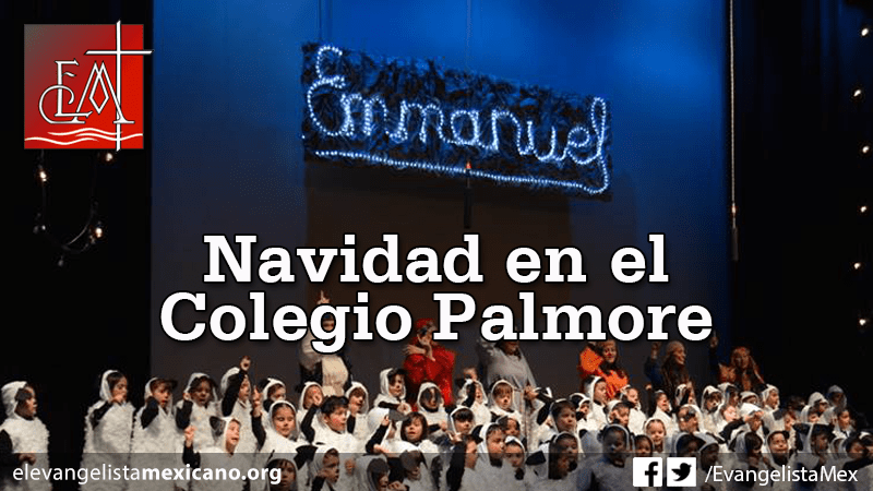 navidad-palmore