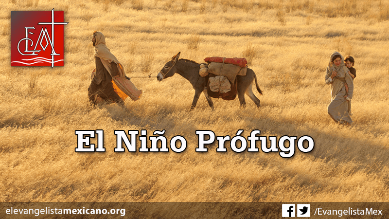 nino-profugo