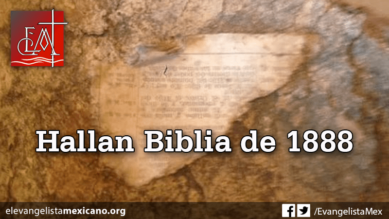 hallan-biblia