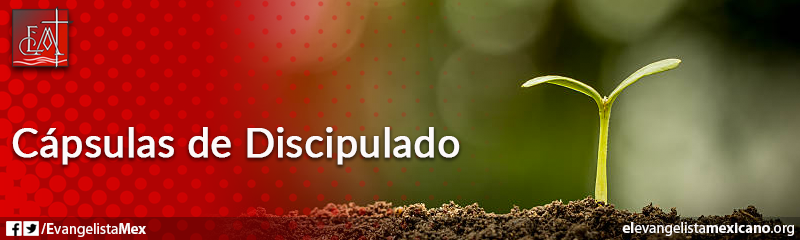 16) Capsula de Discipulado