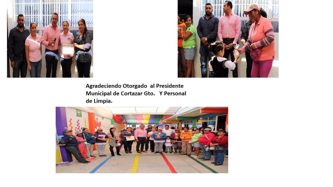 a Org. Rector - Jardín de Niños Mamie Baird