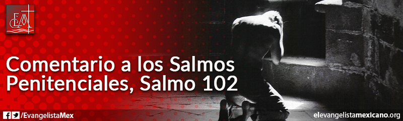 15. Comentario a los Salmos Penitenciales, Salmo 102