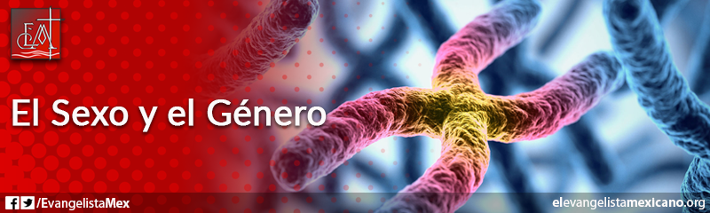 22. El sexo y el género