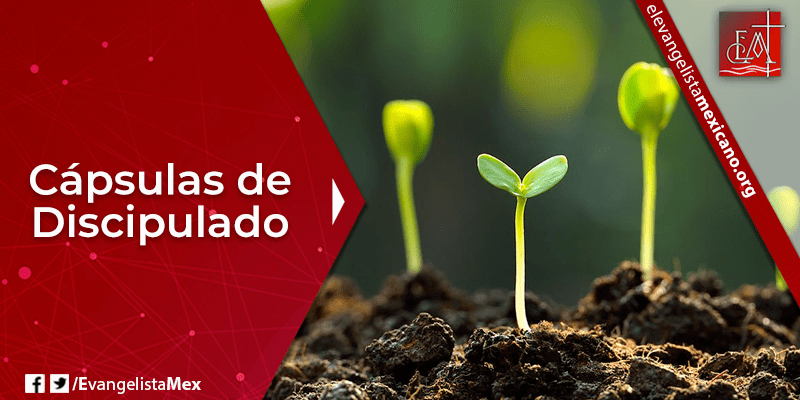 Capsula Discipulado
