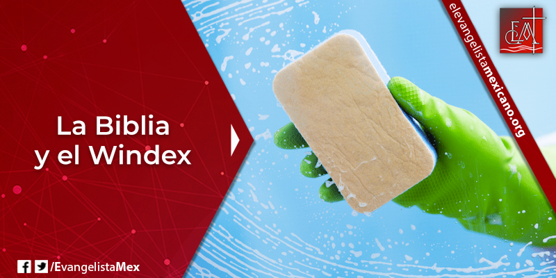 4. La Biblia y el Windex