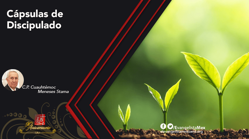 Cápsulas de Discipulado