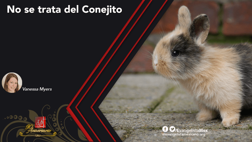 <strong>No se trata del conejito</strong>