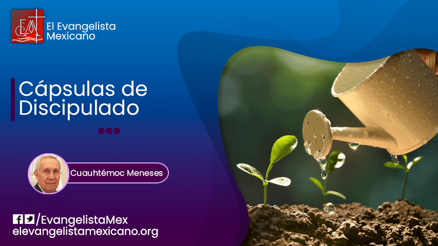 Cápsulas de Discipulado