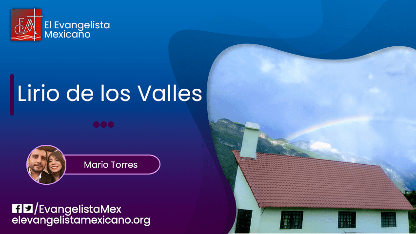 Lirio de los&nbsp;Valles